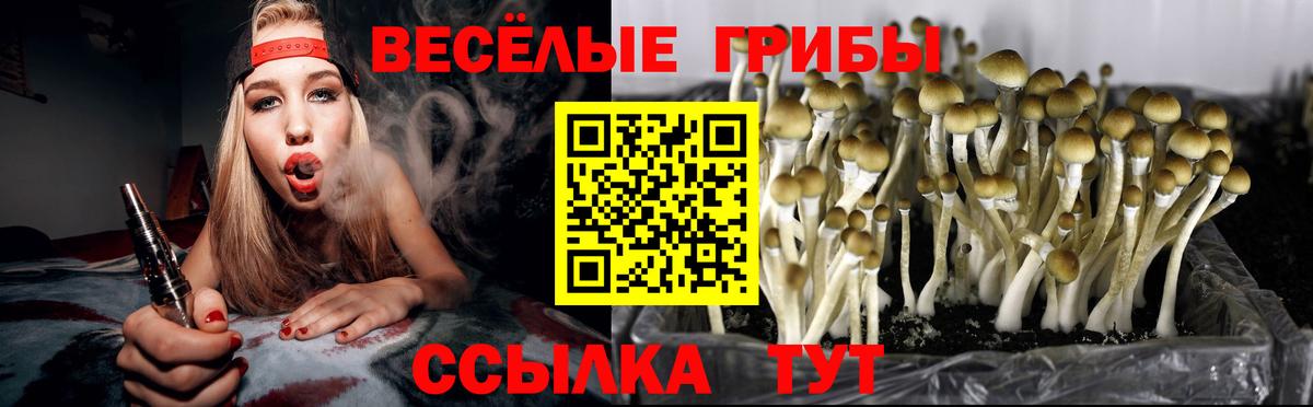 Галлюциногенные грибы мухоморы  Галлюциногенные грибы MAGIC MUSHROOMS  Ирбит  Вход с VPN 